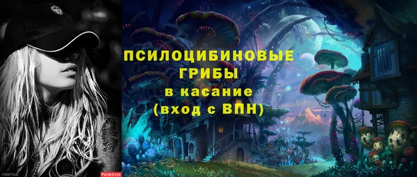 сатива Алексеевка