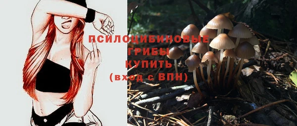 сатива Алексеевка
