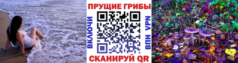 mega рабочий сайт Чёрмоз Галлюциногенные грибы Cubensis